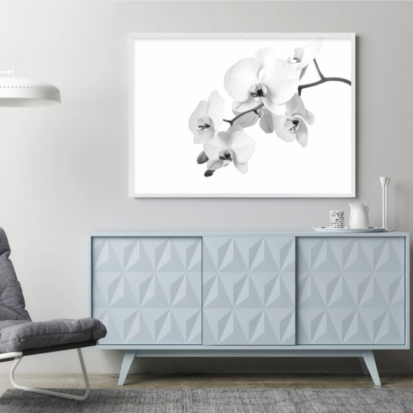 Wall art - White Orchid - Canvas Prints - Poster Prints - Image 2