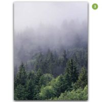 Wall Art prints -Misty Forest 3 sets - Poster Prints -Canvas Prints - Image 7