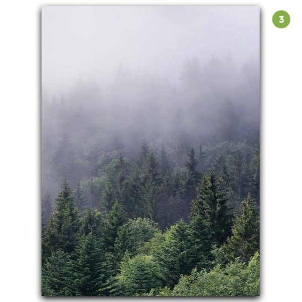 Wall Art prints -Misty Forest 3 sets - Poster Prints -Canvas Prints - Image 7