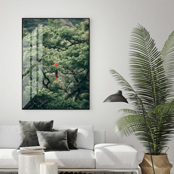Wall art - Froest Parrot on The Tree - Canvas Prints - Poster Prints - Image 2