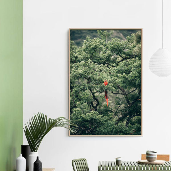 Wall art - Froest Parrot on The Tree - Canvas Prints - Poster Prints - Image 3