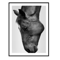 Wall art - Modern Black Horse - Canvas Prints - Poster Prints - Image 2