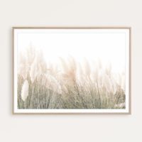 Wall art - Pampas Grass - Canvas Prints - Poster Prints - Image 2