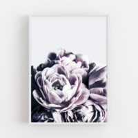 Wall art - Violet - Canvas Prints - Poster Prints - Image 3