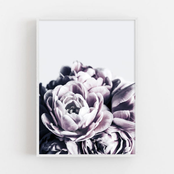 Wall art - Violet - Canvas Prints - Poster Prints - Image 3