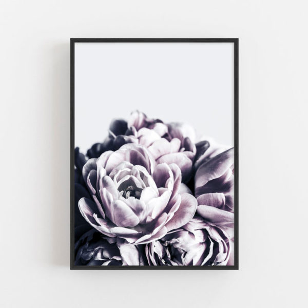 Wall art - Violet - Canvas Prints - Poster Prints - Image 4