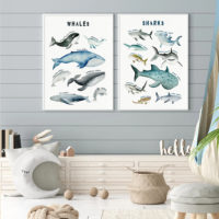 Wall art - Whales Chart - Canvas Prints - Poster Prints - Image 3