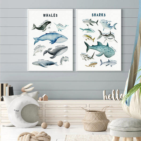 Wall art - Whales Sharks Chart 2 sets- Canvas Prints- Poster Prints - Image 2