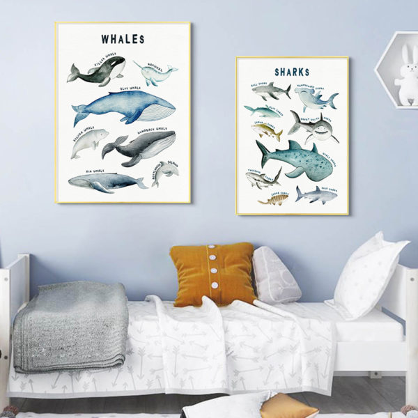 Wall art - Whales Chart - Canvas Prints - Poster Prints - Image 4