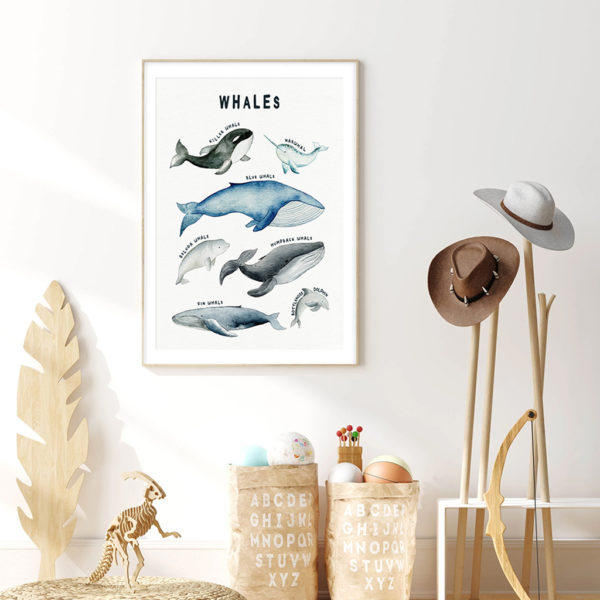 Wall art - Whales Sharks Chart 2 sets- Canvas Prints- Poster Prints - Image 4