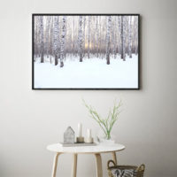Wall art - Winter birch grove - Canvas Prints - Poster Prints - Image 3