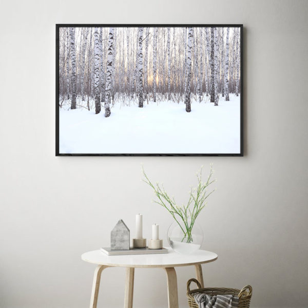 Wall art - Winter birch grove - Canvas Prints - Poster Prints - Image 3
