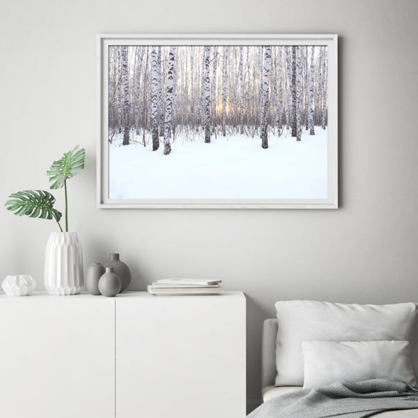 Wall art - Winter birch grove - Canvas Prints - Poster Prints - Image 4