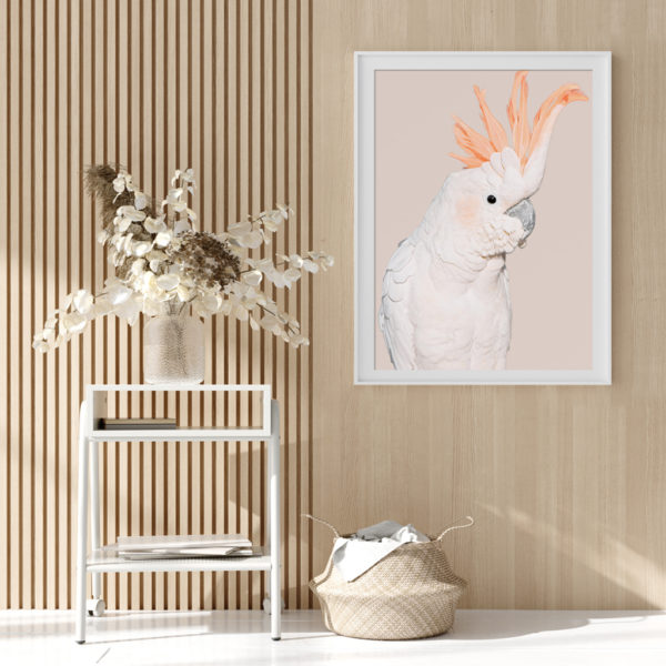 Wall art - White Cockatoo - Canvas Prints - Poster Prints