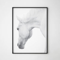 Wall art - White horses 2 sets- Canvas Prints- Poster Prints - Image 2