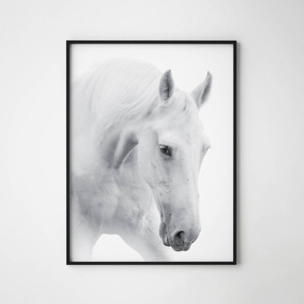 Wall art - White horses 2 sets- Canvas Prints- Poster Prints - Image 3