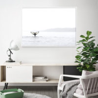 Wall art - Whale's Tale - Canvas Prints - Poster Prints