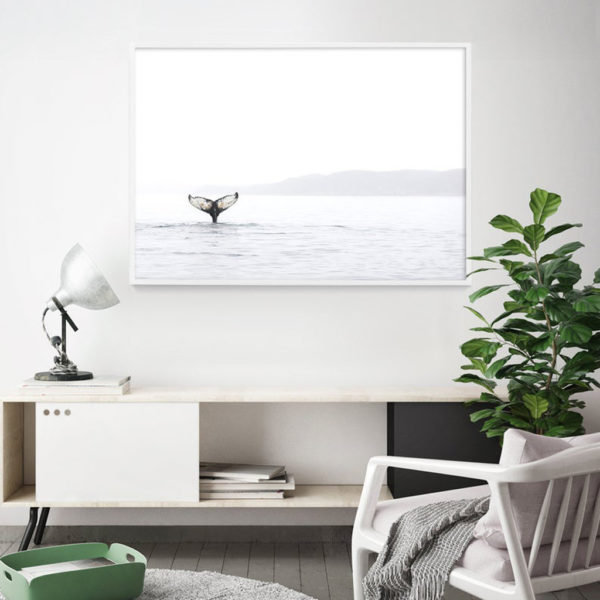 Wall art - Whale's Tale - Canvas Prints - Poster Prints