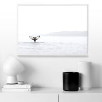 Wall art - Whale's Tale - Canvas Prints - Poster Prints - Image 3