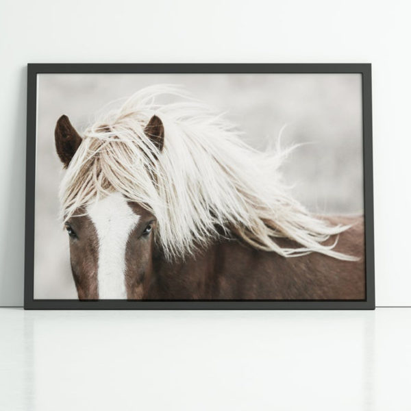 Wall art - Wild Horse - Canvas Prints - Poster Prints - Image 4