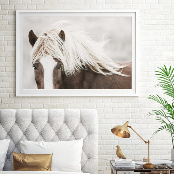 Wall art - Wild Horse - Canvas Prints - Poster Prints