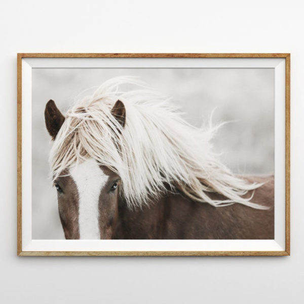 Wall art - Wild Horse - Canvas Prints - Poster Prints - Image 5