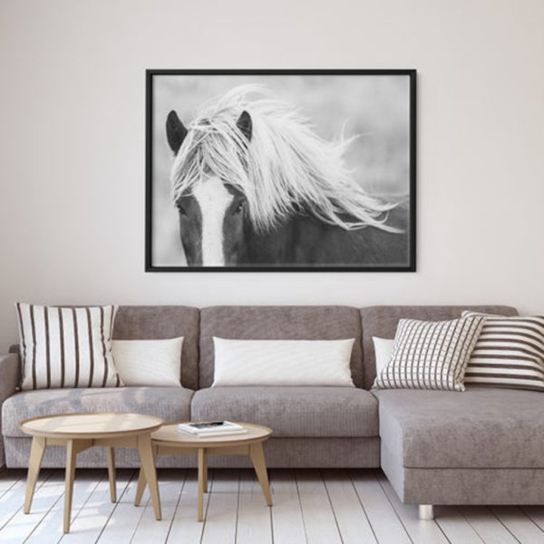 Wall art - Wild Horse Black White - Canvas Prints - Poster Prints