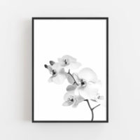 Wall art - Orchid - Canvas Prints - Poster Prints - Image 2