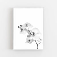 Wall art - Orchid - Canvas Prints - Poster Prints - Image 3
