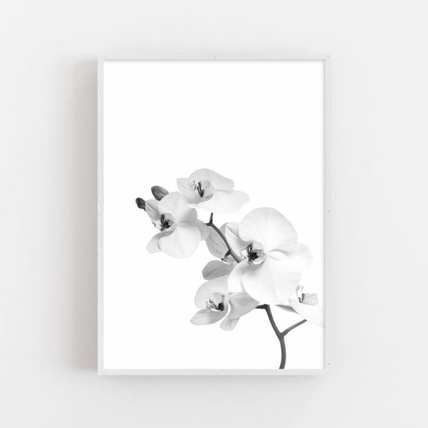 Wall art - Orchid - Canvas Prints - Poster Prints - Image 3