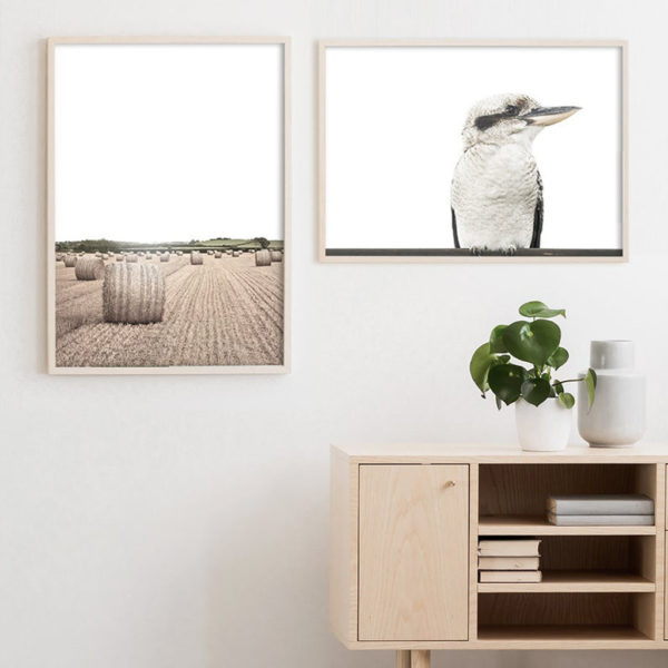 Wall art - Native Kookaburra- Canvas Prints - Poster Prints - Image 2