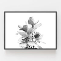 Wall art - Fiddle Leaves - Canvas Prints - Poster Prints - Image 2