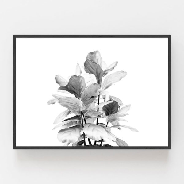 Wall art - Fiddle Leaves - Canvas Prints - Poster Prints - Image 2