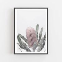 Botaniacal art prints - Banksia - Canvas Prints - Poster Prints - Image 4