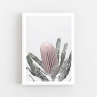 Botaniacal art prints - Banksia - Canvas Prints - Poster Prints - Image 2