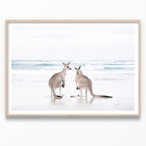 Wall art - Kangaroo - Canvas Prints - Poster Prints - Image 3