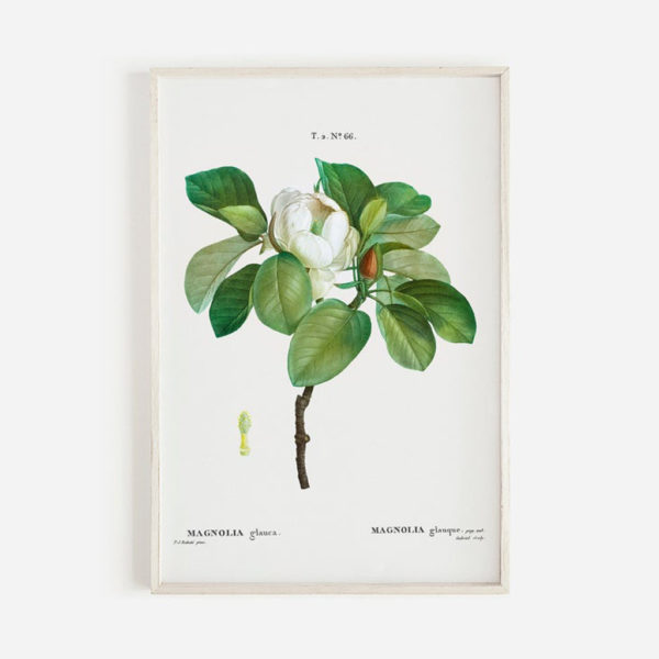 Wall art - Magnolia Grandi Flora 2 sets- Canvas Prints- Poster Prints - Image 3