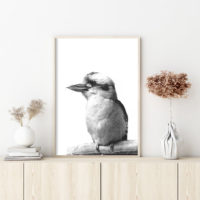 Wall art - Kookaburra - Canvas Prints - Poster Prints