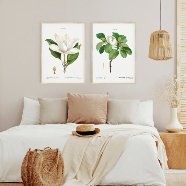 Wall art - Magnolia Grandi Flora 2 sets- Canvas Prints- Poster Prints