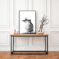 Wall art - Kookaburra - Canvas Prints - Poster Prints - Image 2