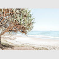 Wall art - Byron Bay - Canvas Prints - Poster Prints - Image 3