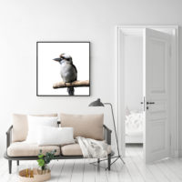 Wall Art - Kookaburra Square Size - Canvas Prints-Poster Prints - Image 2