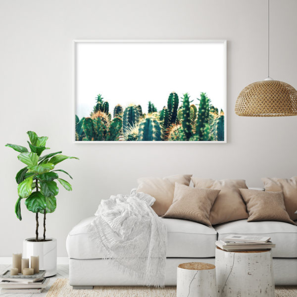Wall art - Cactus - Canvas Prints - Poster Prints