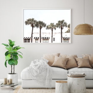 Wall art - Palm Trees - Canvas Prints - Poster Prints