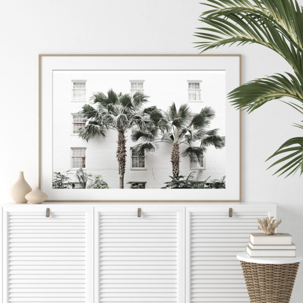 Wall art - Palm Tree - Canvas Prints - Poster Prints - Image 2