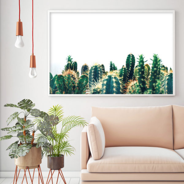 Wall art - Cactus - Canvas Prints - Poster Prints - Image 2