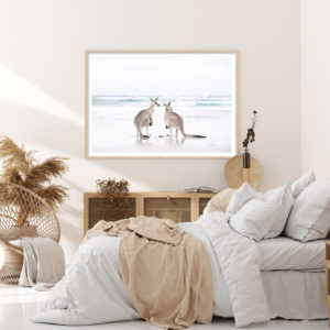 Wall art - Kangaroo - Canvas Prints - Poster Prints