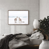 Wall art - Kangaroo - Canvas Prints - Poster Prints - Image 2