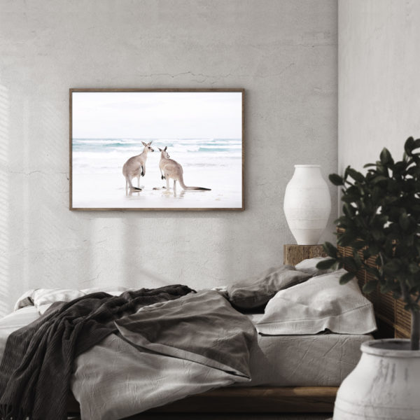 Wall art - Kangaroo - Canvas Prints - Poster Prints - Image 2