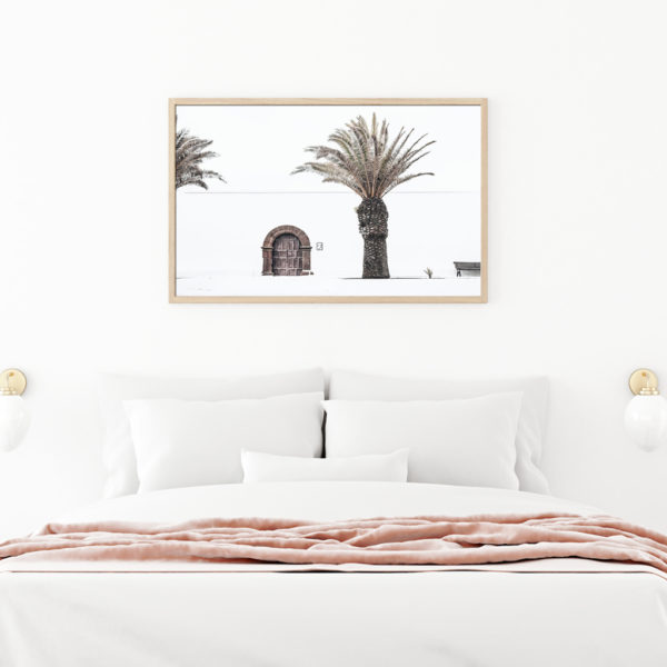 Wall art - European Palm Tree - Canvas Prints - Poster Prints - Image 2